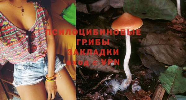 эйфоретик Елизово