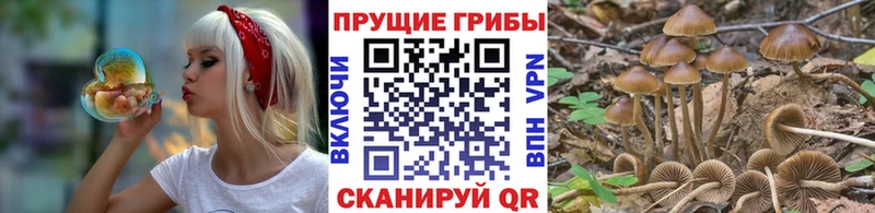 Галлюциногенные грибы Cubensis  Купить где  Костерёво 