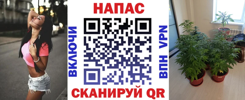 Шишки марихуана VHQ  Купить закладки  Костерёво 